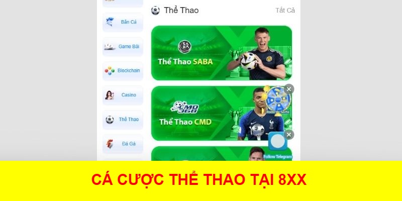 Cá Cược Thể Thao Tại 8XX